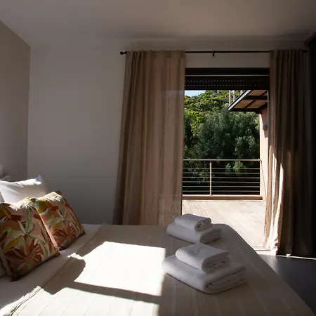 Spinella - Tarra Zuria *