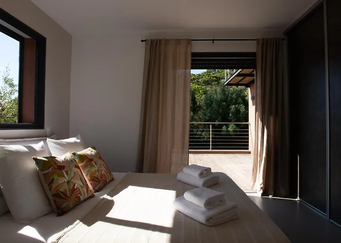 Spinella - Tarra Zuria *